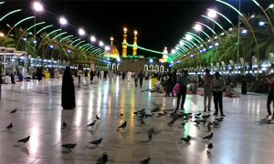 تصاویر بین الحرمین امام حسین(ع)