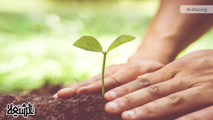 نگاهی به اهمیت درختکاری در آموزه های اسلامی