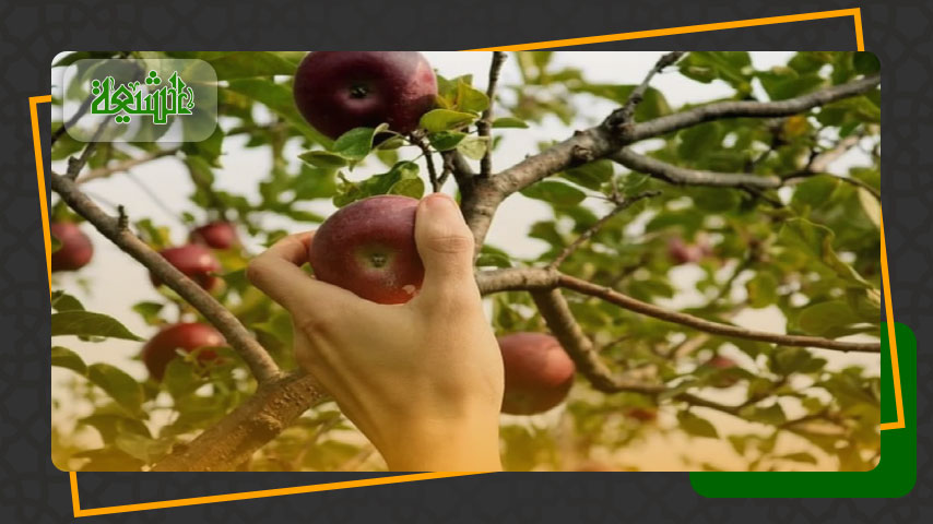 احکام حق الماره